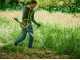 Ryobi RBC36X26BG2-140 - Battery-powered Brush Cutter - 36V - 4Ah