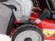 WEIBANG WB452SE3 Self-propelled Battery-powered Lawn Mower - 120 V/4Ah Motor - 4 in 1