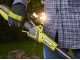 Ryobi RY36LT33A-0 - Battery-powered Brush Cutter - MAX POWER 36V - WITHOUT BATTERY AND CHARGER