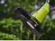 Ryobi RY36LT33A-0 - Battery-powered Brush Cutter - MAX POWER 36V - WITHOUT BATTERY AND CHARGER