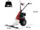 Eurosystems Minieffe RM - Multifunctional motor mower - Loncin L200 OHV