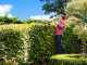 RYOBI HYBRID RHT1850H25HS electric and battery hedge trimmer - 18V - 2.5Ah - 50cm blade