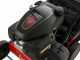 Eurosystems SWEEPY Power Sweeper with Honda GCVx 170 Engine - with Collector