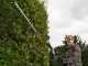 RYOBI 450W RPT4545E electric hedge trimmer on telescopic extension pole - 45cm blade - 20mm cut