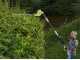 RYOBI 450W RPT4545E electric hedge trimmer on telescopic extension pole - 45cm blade - 20mm cut