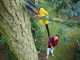 STANLEY FATMAX V20 Telescopic Pruner on Adjustable Extension Pole - 18 V 4Ah Battery