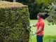 RYOBI 600W RHT6160RS electric hedge trimmer - 60cm blade - 28mm cut