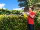 RYOBI 650W RHT6760RL electric hedge trimmer - 60cm blade - 30mm cut