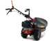 Eurosystems P55 - Multifunctional rotary mower - Loncin 196cc