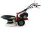 Eurosystems P55 - Multifunctional rotary mower - Loncin 196cc
