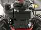Eurosystems RS210 - Multifunctional rotary mower - B&amp;S 675 EXi