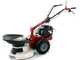 Eurosystems RS210 - Multifunctional rotary mower - B&amp;S 675 EXi