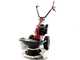Eurosystems RS210 - Multifunctional rotary mower - B&amp;S 675 EXi