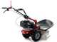 Eurosystems RS210 - Multifunctional rotary mower - Loncin 196 OHV