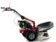 Eurosystems RS210 - Multifunctional rotary mower - Loncin 196 OHV