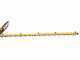 DEWALT DCMHT563P1-QW Battery-powered Electric Hedge Trimmer - 55 cm Blade - 18 V 5Ah Battery