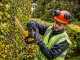 DEWALT DCMHT563P1-QW Battery-powered Electric Hedge Trimmer - 55 cm Blade - 18 V 5Ah Battery