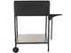 Famur BK7 Superior Charcoal and Wood-fired Barbecue with 70x48 cm Stainless Steel Grid