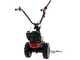 Eurosystems Minieffe M150 - Multifunctional motor mower - B&amp;S 625 EXi
