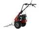 Eurosystems Minieffe M150 - Multifunctional motor mower - B&amp;S 625 EXi