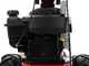 Eurosystems Minieffe - Multifunctional motor mower - B&amp;S 450E