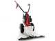 Eurosystems Minieffe - Multifunctional motor mower - B&amp;S 450E