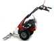 Eurosystems Minieffe - Multifunctional motor mower - B&amp;S 450E
