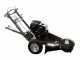 BlackStone SG 420 L ES PRO Stump Grinder - Loncin Engine 420cc - Cutting Disc with 8 Hammers in Tungsten Carbide