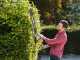 RYOBI RHT8165RL 800W electric hedge trimmer - 65 cm blade - 34 mm cut