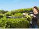 RYOBI RHT8165RL 800W electric hedge trimmer - 65 cm blade - 34 mm cut