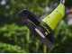 Ryobi RY36LT33A-120 - Battery-powered Brush Cutter - MAX POWER 36V - 2.0Ah