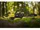 Ryobi BRUSHLESS RY36CSX35A-0 - Max Power 36V Electric Chainsaw - 35cm Blade - WITHOUT BATTERY AND CHARGER 