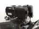 BlackStone SG 420 B&amp;S Stump Grinder - B&amp;S XR2100 Engine 420cc - Cutting Disc with 8 Hammers in Tungsten Carbide
