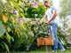 Bosch EasyGrassCut 23 Electric Edge Strimmer - 280W 