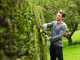 RYOBI HYBRID OHT1850H electric and battery hedge trimmer - 18V - WITHOUT BATTERIES AND CHARGERS