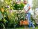 Bosch EasyGrassCut 26 - Electric edge strimmer - 280 W