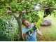 RYOBI OLP1832BX Battery-powered  Branch Lopper - 18V - 32 mm Diameter - 4Ah