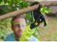 RYOBI OLP1832BX Battery-powered  Branch Lopper - 18V - 32 mm Diameter - 4Ah