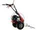 Eurosystems Minieffe M150 RM - Multifunctional motor mower - B&amp;S 625 EXi