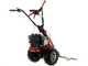 Eurosystems Minieffe M150 RM - Multifunctional motor mower - B&amp;S 625 EXi