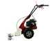 Eurosystems Minieffe M150 RM - Multifunctional motor mower - B&amp;S 625 EXi