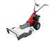 Eurosystems Minieffe M150 RM - Petrol Rough Cut Mower - BLade - B&amp;S 625 EXi