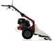 Eurosystems P55 - Multifunctional twin-blade mower - Loncin 196 OHV