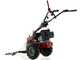 Eurosystems P55 - Multifunctional twin-blade mower - Loncin 196 OHV