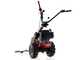 Eurosystems P55 - Multifunctional twin-blade mower - Loncin 196 OHV