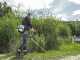 AL-KO BC 400 B - Petrol brush cutter