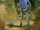 Bosch AdvancedGrassCut 36 - Battery-powered edge strimmer - 36 V- 2Ah 