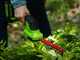 GREENWORKS G24SHT - Battery grass shear - Hedge trimmer - 24V 2Ah