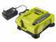 RYOBI RBV36B Battery-powered Leaf Blower - Garden Vacuum - Shredder - 36 V 4 Ah