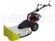 Eurosystems P70 EVO - Multifunctional twin-blade mower - Loncin 224 OHV